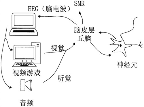 脑电活动检测设备原理