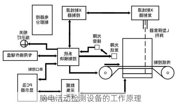 脑电活动检测设备的工作原理