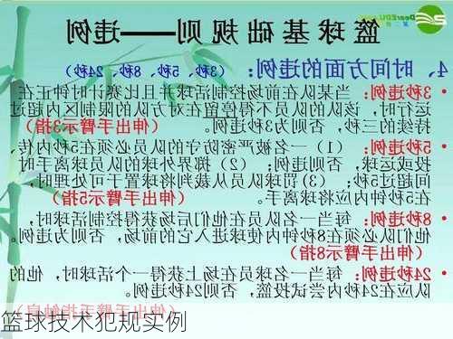 篮球技术犯规实例