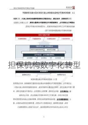 担保机构数字化转型