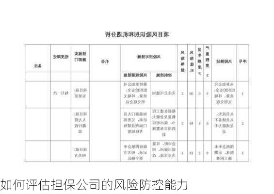 如何评估担保公司的风险防控能力