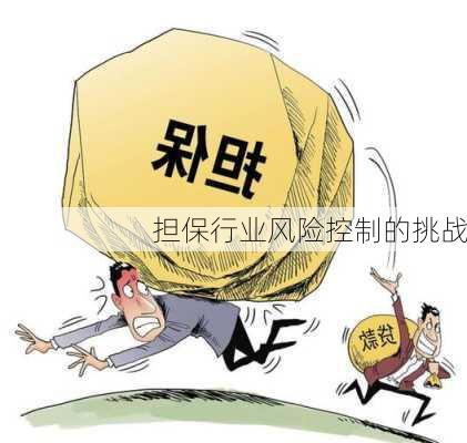 担保行业风险控制的挑战