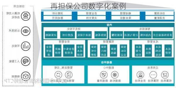 再担保公司数字化案例