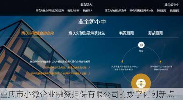 重庆市小微企业融资担保有限公司的数字化创新点