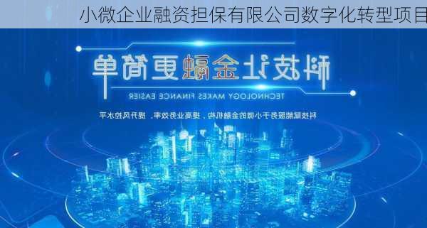 小微企业融资担保有限公司数字化转型项目