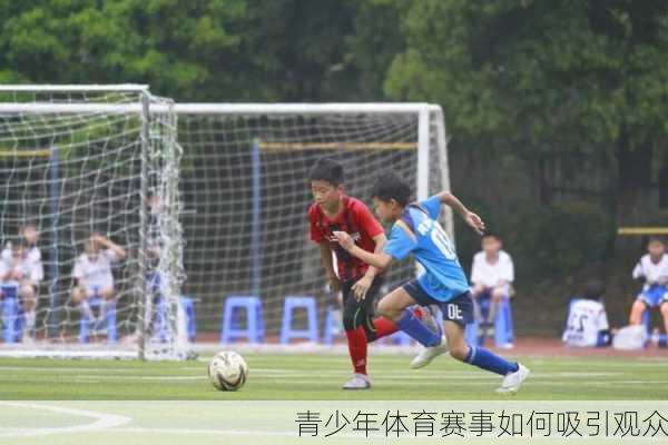 青少年体育赛事如何吸引观众