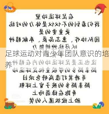 足球运动对青少年团队意识的培养