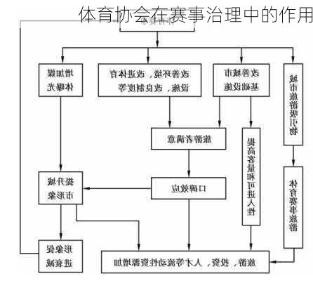 体育协会在赛事治理中的作用