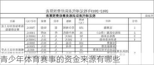 青少年体育赛事的资金来源有哪些