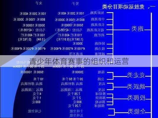 青少年体育赛事的组织和运营