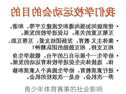 青少年体育赛事的社会影响