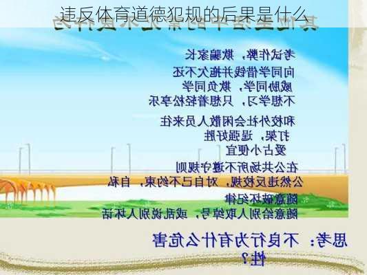违反体育道德犯规的后果是什么