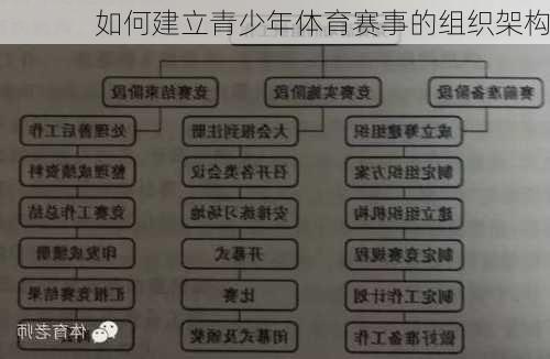 如何建立青少年体育赛事的组织架构
