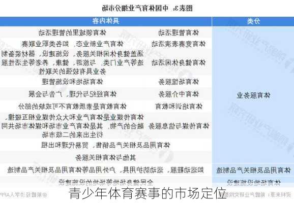 青少年体育赛事的市场定位