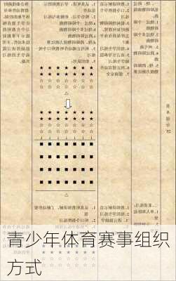 青少年体育赛事组织方式