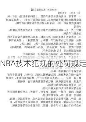 NBA技术犯规的处罚规定