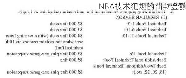 NBA技术犯规的罚款金额