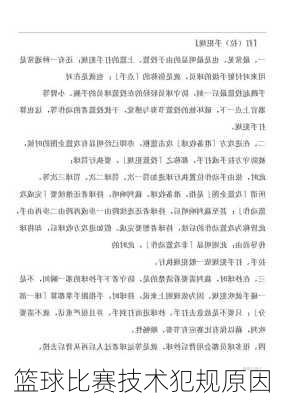 篮球比赛技术犯规原因
