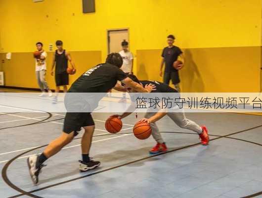 篮球防守训练视频平台
