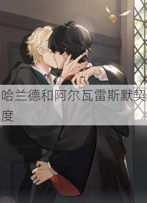 哈兰德和阿尔瓦雷斯默契度