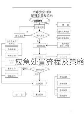 应急处置流程及策略