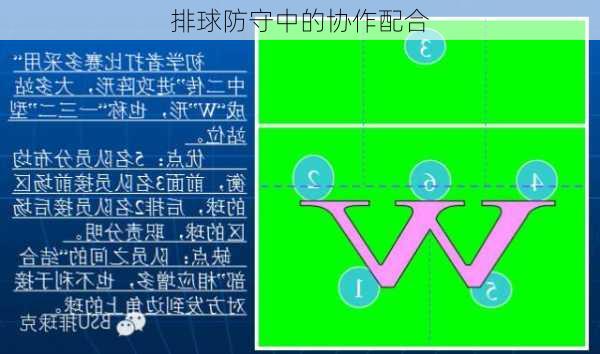 排球防守中的协作配合