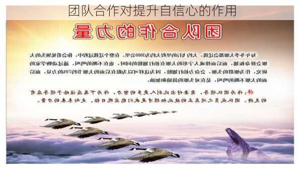 团队合作对提升自信心的作用