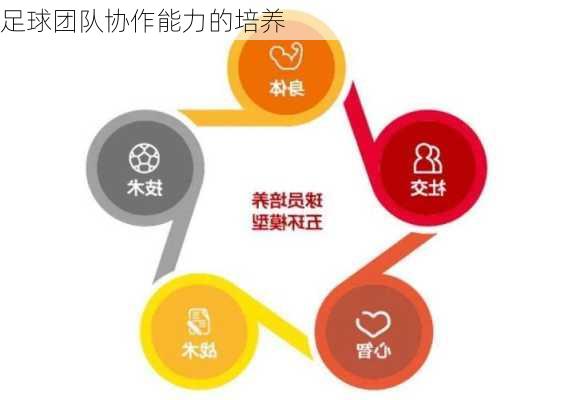 足球团队协作能力的培养