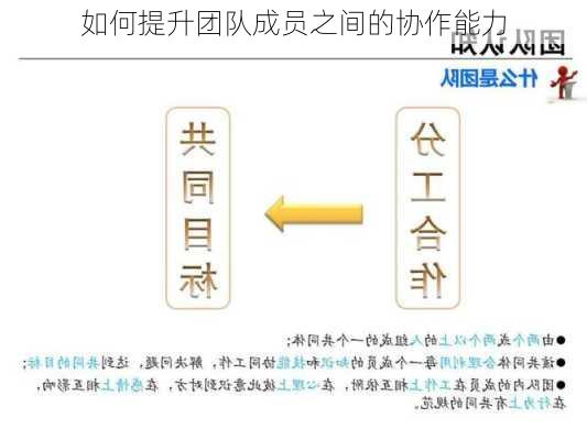 如何提升团队成员之间的协作能力