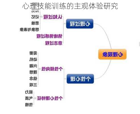 心理技能训练的主观体验研究