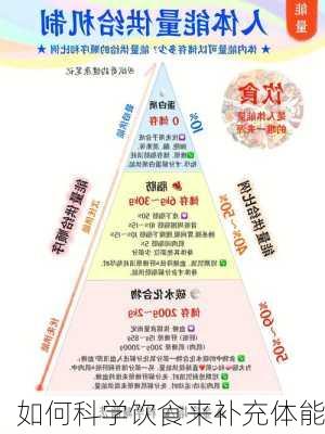 如何科学饮食来补充体能