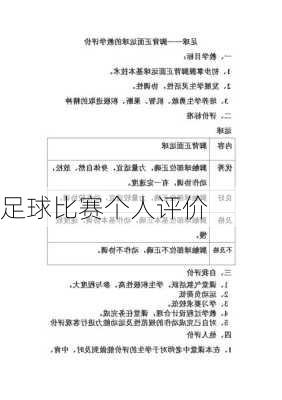 足球比赛个人评价