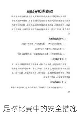 足球比赛中的安全措施