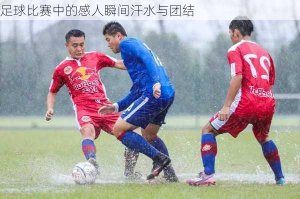 足球比赛中的感人瞬间汗水与团结