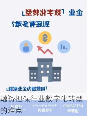 融资担保行业数字化转型的难点