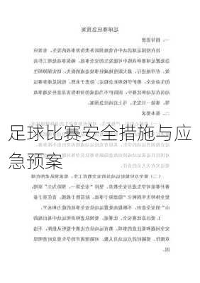 足球比赛安全措施与应急预案