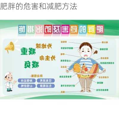 肥胖的危害和减肥方法