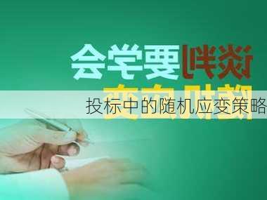 投标中的随机应变策略