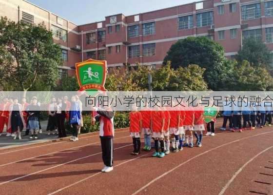 向阳小学的校园文化与足球的融合