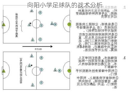 向阳小学足球队的战术分析