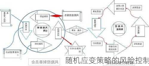 随机应变策略的风险控制