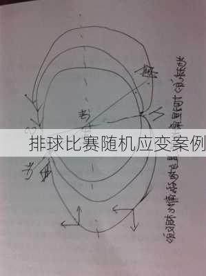 排球比赛随机应变案例