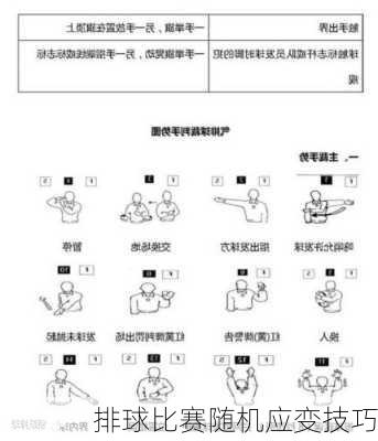 排球比赛随机应变技巧