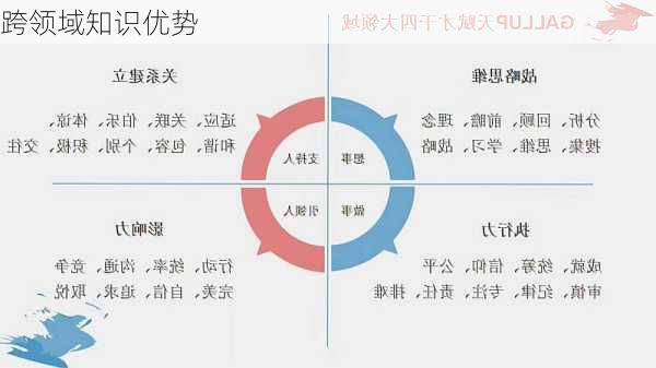跨领域知识优势