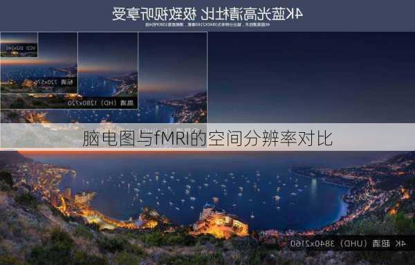 脑电图与fMRI的空间分辨率对比