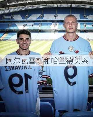 阿尔瓦雷斯和哈兰德关系