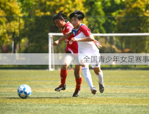 全国青少年女足赛事