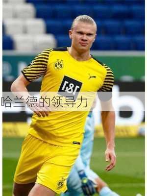 哈兰德的领导力