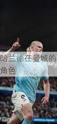 哈兰德在曼城的角色