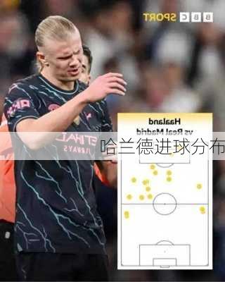 哈兰德进球分布